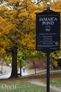 Foliage in Jamaica Pond