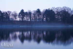 Reflections at Dusk in Jamaica Pond