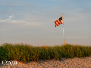 Flag in the Dune Grass