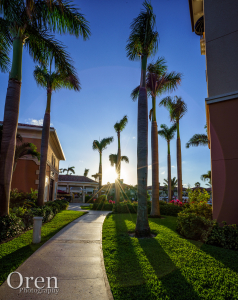 Sunburst and Palm Trees at Beaches