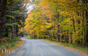 Peak Foliage along a road in Vermont