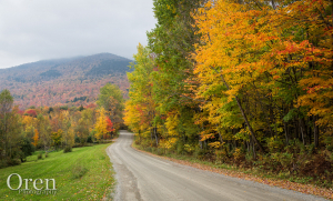 Peak Foliage in Vermont